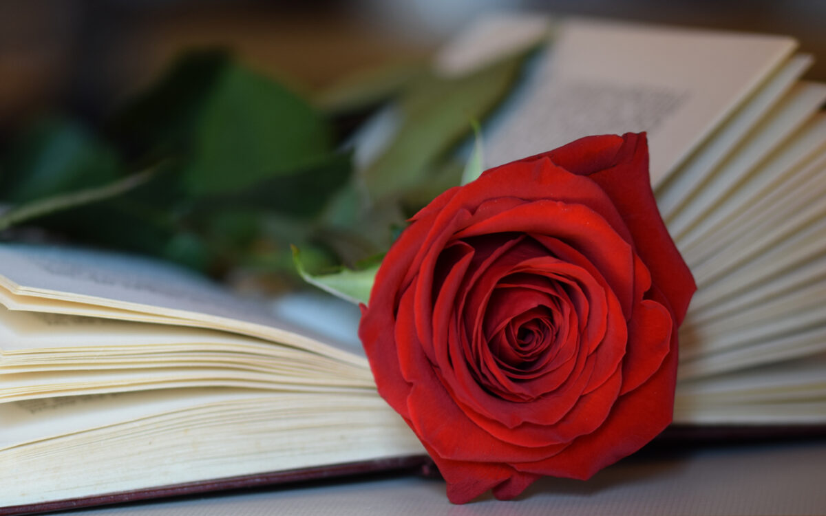Sant Jordi 2021: Tres días de celebración y puestos en la calle